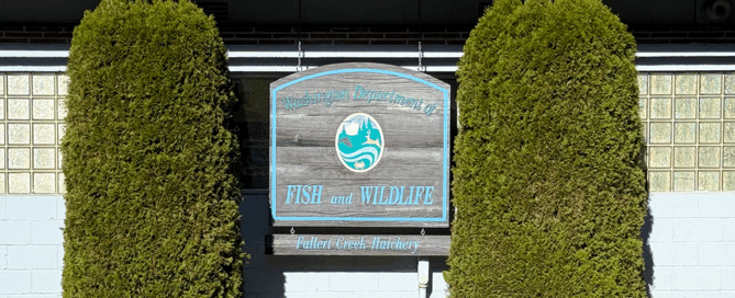 Fallert Creek Fish Hatchery