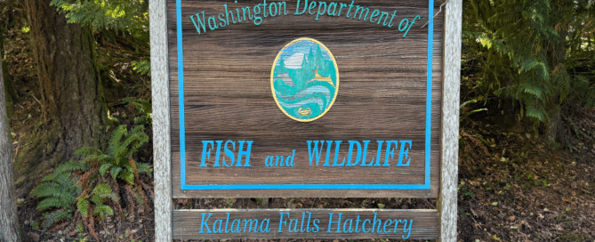 Kalama Falls Fish Hatchery