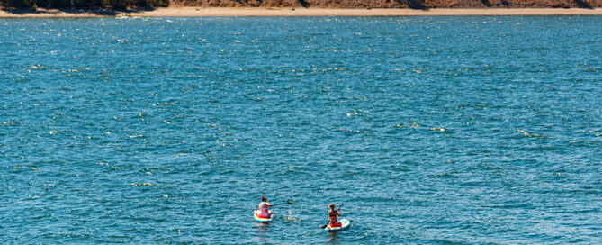 Paddle Board