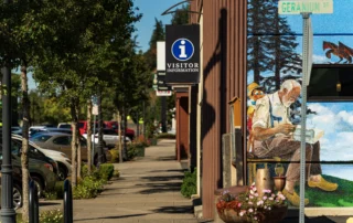 Spring Blog Cover Photo